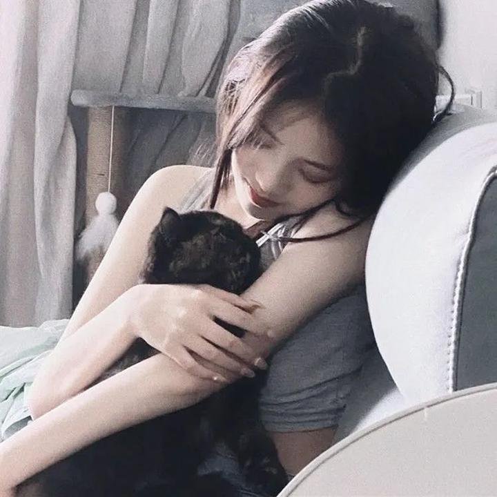 灰狐